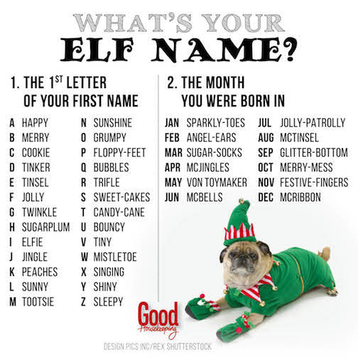 santa elf names